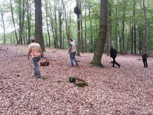 Pilzwanderung am Liepnitzsee